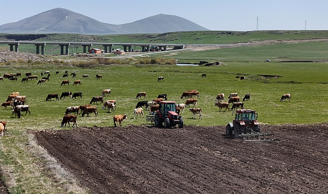 Kars'ta çiftçiler yem bitkisi ekim mesaisinde