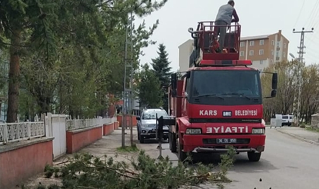 Kars'ta elektriğe engel ağaçlar budanıyor