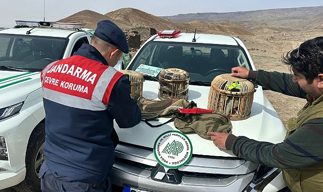 Kars'ta keklik avlayan kişilere ceza kesildi