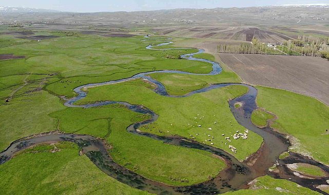 Kars'taki mendereslerde bahar güzelliği