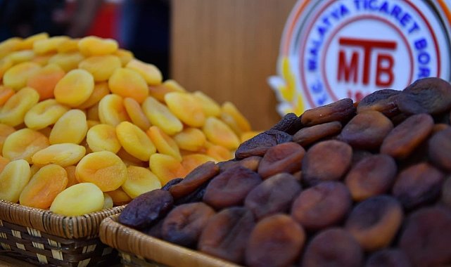 Kayısı ihracatı hız kesmiyor