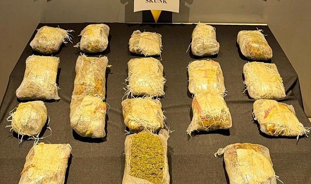 Malatya'da 11 kilo 15 gram skunk ele geçirildi