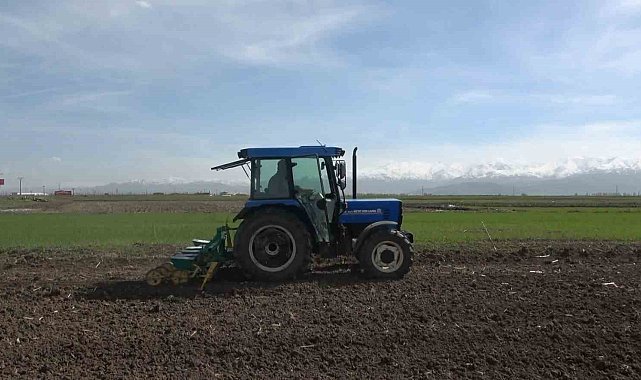 Muş Ovası'nda 635 bin ton şeker pancarı üretimi hedefleniyor