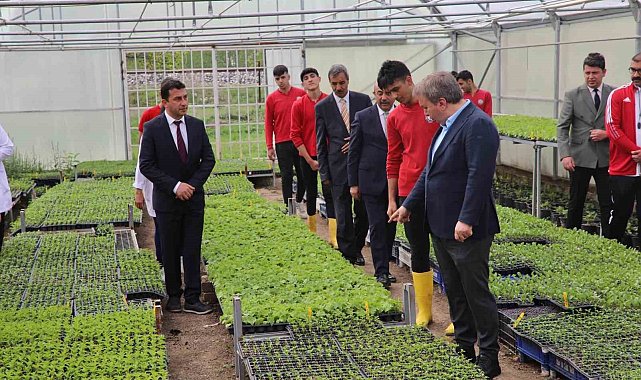 Okul bahçesindeki serada organik sebzeler yetiştiriyor