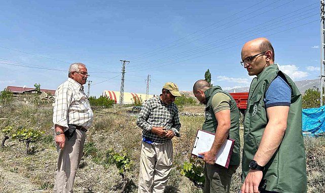 "Bağ Küllemesi Hastalıkları" yüzde 90 verim kaybına yol açabilir
