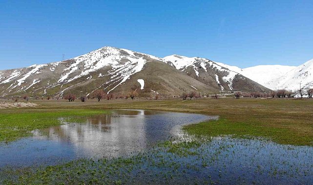 Tatvan'da tarım arazileri suya gömüldü