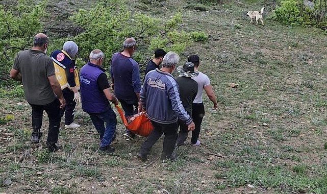 Tunceli'de ayının saldırısına uğrayan adam yaralandı