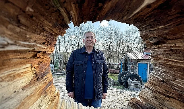 Vali Ziya Polat, Koşapınar açık hava müzesini ziyaret etti