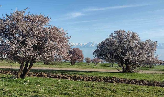 Van'da iki mevsim bir arada