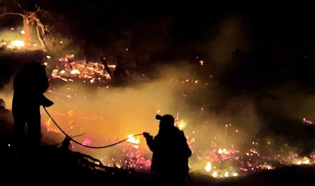 Yaylabaşı'nda örtü yangını