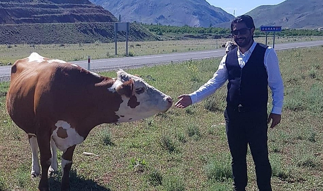 Alp: Buzağı ve süt destek ödemeleri devam ediyor