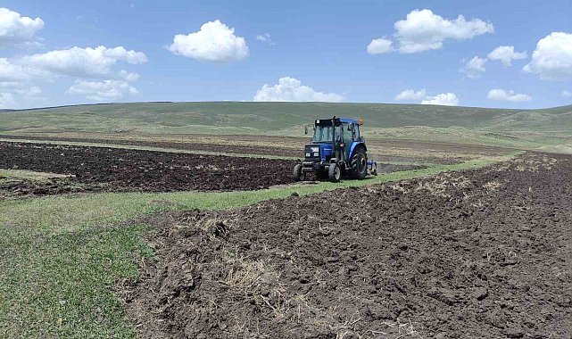 Ardahan'da ata tohumu buğday ve arpa tohumları toprakla buluşturuluyor