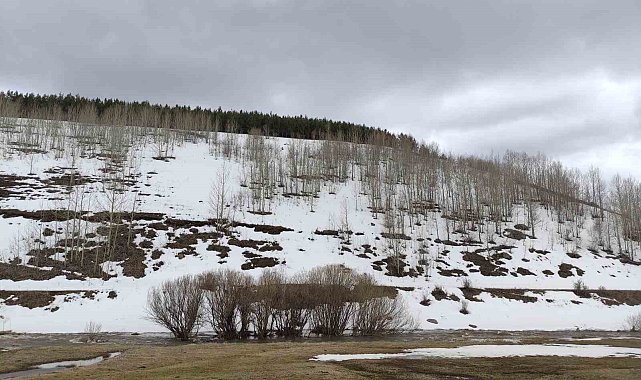 Ardahan'da bahar ve kış bir arada
