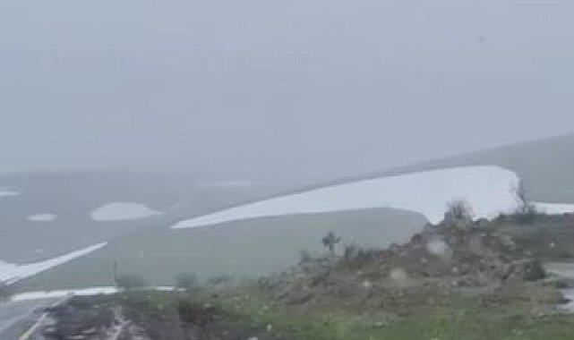 Ardahan'ın yüksek kesimlerinde kar ve sis etkili oldu