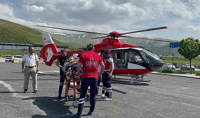 Arıların soktuğu hasta ambulans helikopterle Tatvan'a sevk edildi
