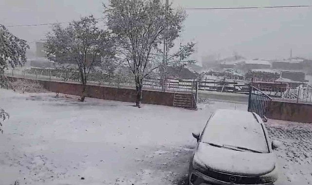 Aşkale'de kar yağışı etkili oluyor