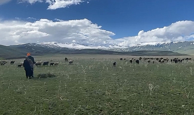 Besiciler yaylalara çıkamadı