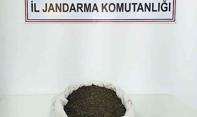 Bingöl'de 3 kilo 650 gram uyuşturucu madde ele geçirildi