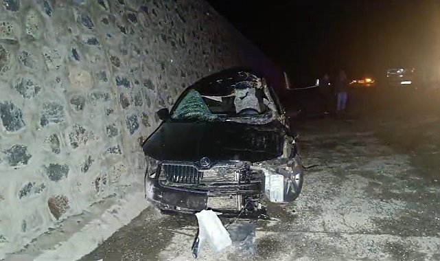 Bingöl'de otomobil ata çarptı: Kazada 1 kişi hayatını kaybetti