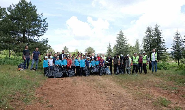 Bingöl'de yangınları önlemek için ormandaki çöpler toplandı