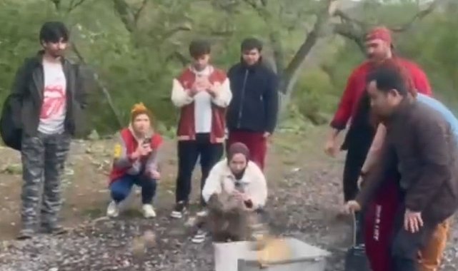 Bir yıldır veri alınamayan puhu kuşuna ulaşıldı