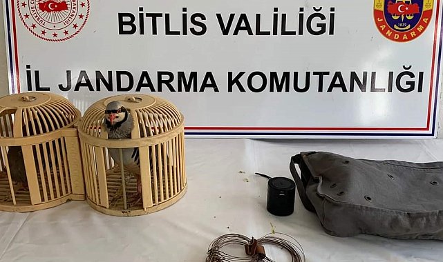 Bitlis'te keklik avlayan 2 kişiye 26 bin 635 lira para cezası uygulanacak