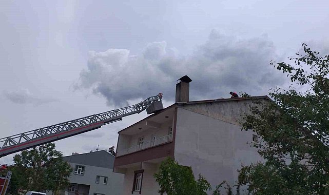 Cami kubbesindeki leylek yuvası, yıkım nedeniyle taşındı