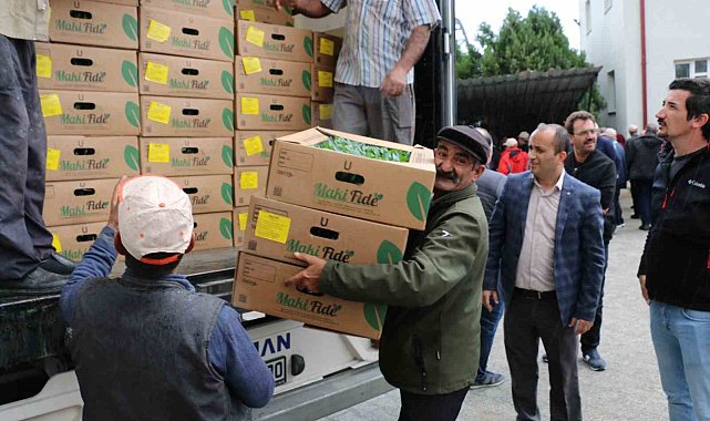 Çiftçilere fide dağıtıldı