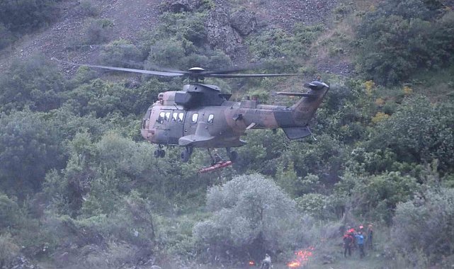 Dağda ağaçtan düşerek yaralanan kadının yardımına Mehmetçik koştu