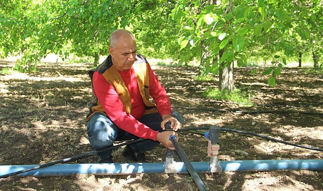 Dut üreticileri yeni sezon için bahçeye indi