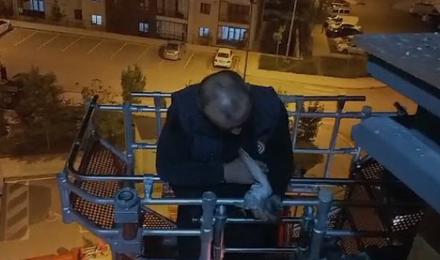 Elazığ'da çatı arasında sıkışan güvercini itfaiye ekipleri kurtardı