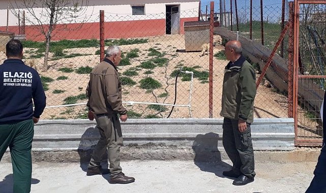 Elazığ'da Hayvan Bakımevinde denetim