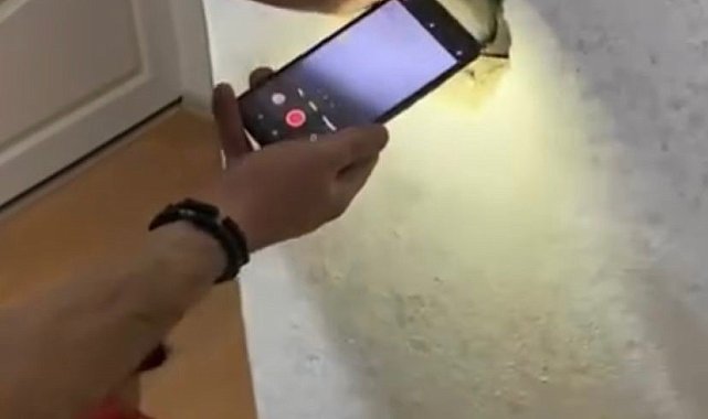 Elazığ'da itfaiyeden güvercin kurtarma operasyonu