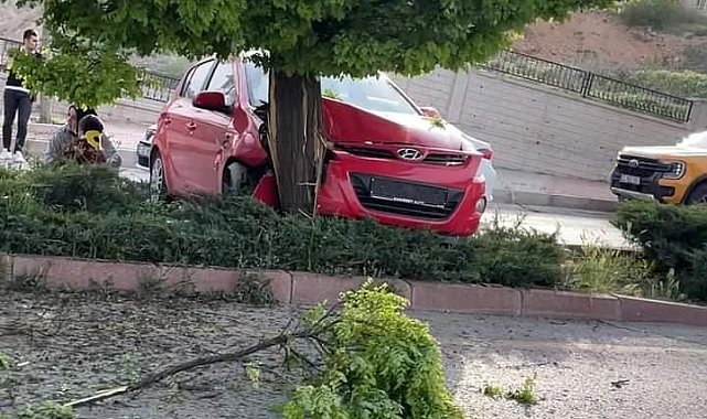 Elazığ'da otomobil ağaca çarptı: 3 yaralı
