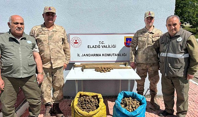 Elazığ'da salep bitkisi toplayan 4 kişiye idari para cezası uygulandı