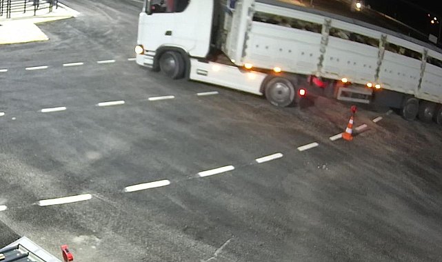 Elazığ'da ŞAP'a geçit yok