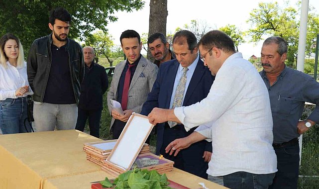 Elazığ'da üreticilere ipek böceği larvası dağıtıldı