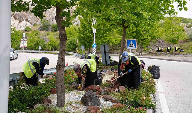 Elazığ'da yeşil alanlarda bahar temizliği