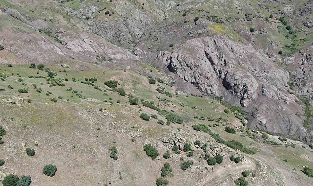 Elazığ'daki kan donduran cinayetin dehşet veren detayları ortaya çıktı