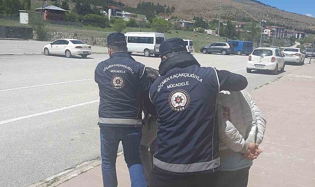 Erzincan&#039;da kaçak göçmen taşıyan 2 kişi tutuklandı