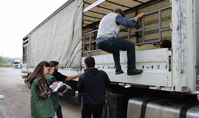 Erzincan'da kurbanlık sevkine sıkı denetim