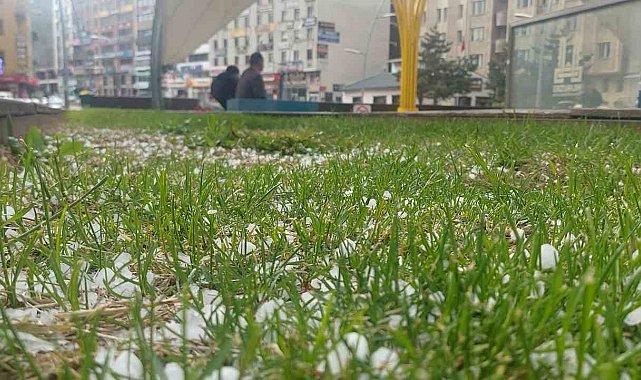Erzurum'da dolu etkili oldu