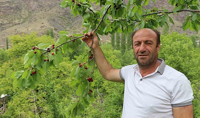 Erzurum'un dağlarında kar, bağlarında kiraz var