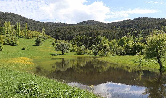 Erzurum'un yaylalarında bahar esintisi