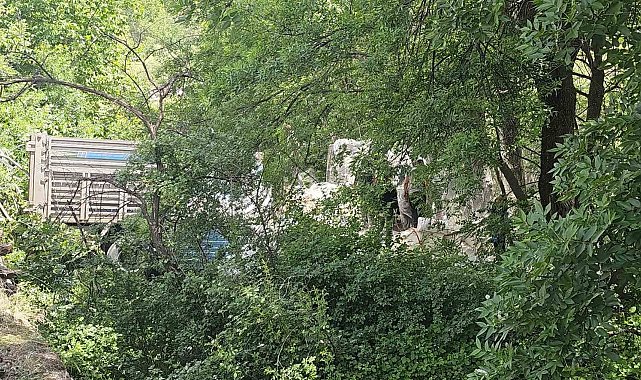 Freni boşalan un yüklü kamyon Çoruh Nehrine uçtu