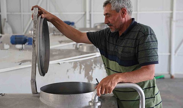 Günlük 40 ton süt toplanan merkez, bin 200 aileye ekmek kapısı oldu