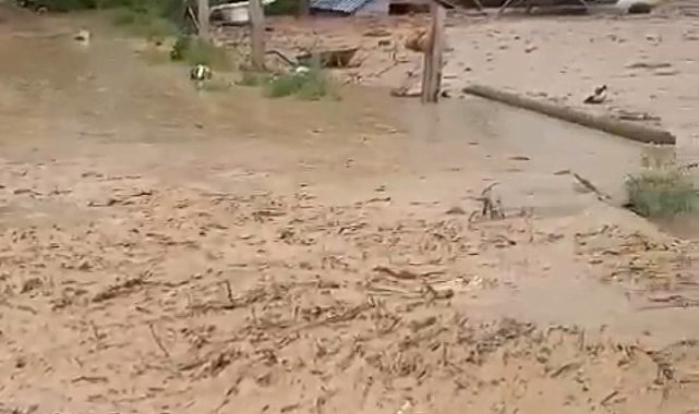 Güroymak'ta sağanak yağış sele yol açtı