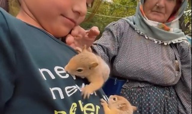Hakkarili aileden yavru sincaplara şefkat eli