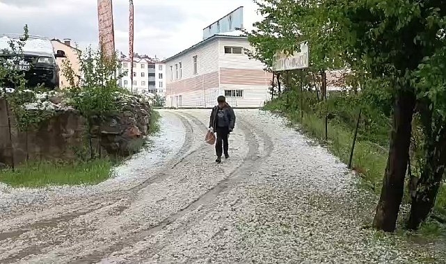 Hizan'da dolu yağışı hayatı olumsuz etkiledi