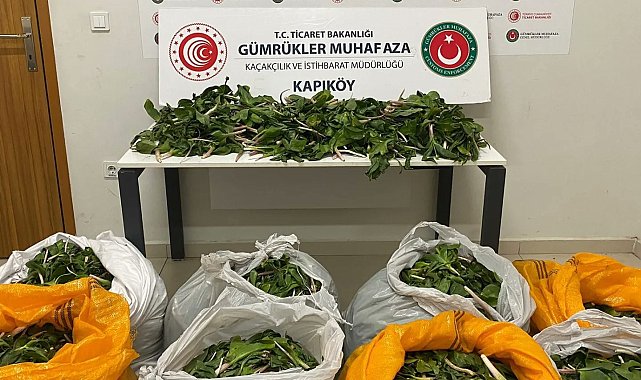 İran uyruklu 6 kişiye biyoçeşitliliği tahripten toplam 2 milyon 322 bin 846 lira ceza